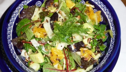 114   Frisse Venkelsalade met sinaasappel en advocado